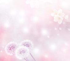 Fluffy dandelion flower against the background of the summer landscape. photo