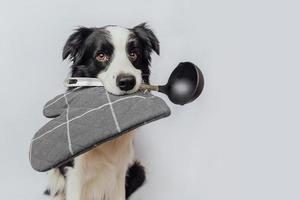 Funny cute puppy dog border collie holding kitchen spoon ladle pot holder in mouth isolated on white background. Chef dog cooking dinner. Homemade food restaurant menu concept. Cooking process photo