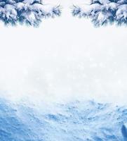 Christmas background with snow-covered fir branches photo