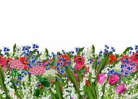 floral background. flowers photo