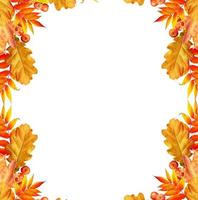 Colorful autumn foliage isolated on white background. Indian summer. photo