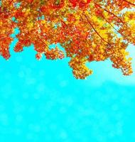 autumn landscape with bright colorful foliage. Indian summer. photo