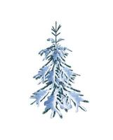 Christmas tree in snow isolated on white background. photo