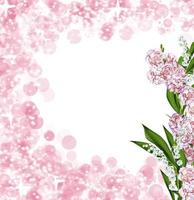 rama de hermosas flores clavel foto