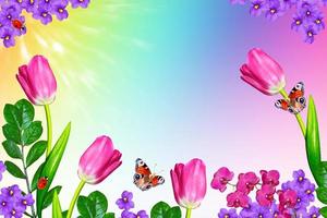 Bright and colorful flowers tulips photo