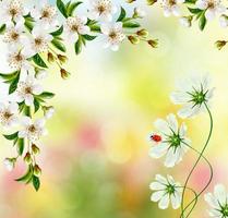 Bright colorful spring flowers photo