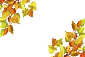 abstract background of autumn leaves photo