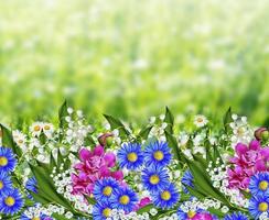 Background of flowers. photo