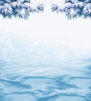 Christmas background with snow-covered fir branches photo