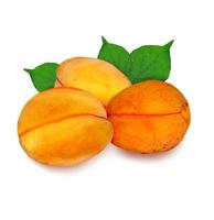 Apricot fruit isolated on white background photo