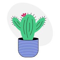 lindo garabato de cactus. cactus de dibujos animados en una olla de rayas azules sobre un fondo blanco. ilustración de vector genial en estilo plano.