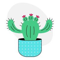 Cute cactus doodle. Cartoon cactus with flowers in a blue polka dot pot on a white background. Cool vector illustration in flat style.