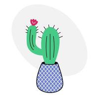 Cute cactus doodle. Cartoon cactus in a blue checkered pot on a white background. Cool vector illustration in flat style.