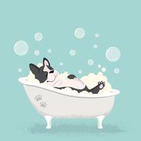 personaje de dibujos animados de bulldog francés tomando un baño en el icono de línea de vector de baño