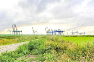 área industrial grúas torre roja faro dique paisaje marino panorama alemania. foto