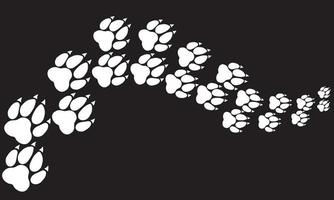 Black and white, trail and path of animal tracks, dogs and wolf walking away vector