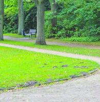 Natural panorama view with pathway green plants trees forest Germany. photo