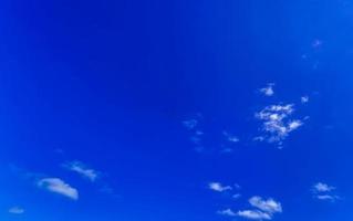 Fregat birds flock fly blue sky background Contoy island Mexico. photo