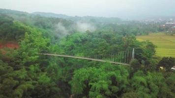 schöne luftaufnahme, hängebrücke im tropischen wald. video