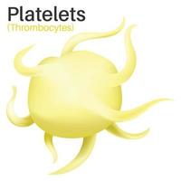 Las plaquetas son células sanguíneas diminutas. vector