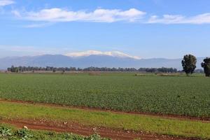 There is snow on Mount Hermon in northern Israel. photo