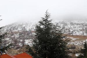 el monte hermón es la montaña más alta de israel y el único lugar donde se pueden practicar deportes de invierno. foto