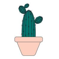 vector lindo cactus aislado en un fondo blanco