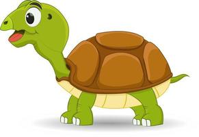 cartoon turtle character standing isolated vector