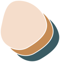 Organic abstract shape delicate colorful png