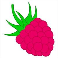 Raspberry fruit icon. Flat graphic design. Symbol on white background. Vector illustration.