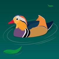 Colorful mandarin duck on pond surface vector illustration