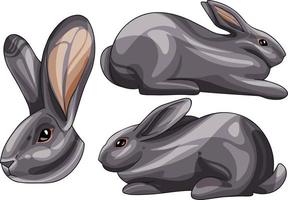 A set of cartoon drawn animals. Rabbit breed of American.