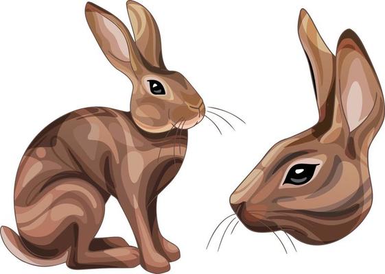 A set of cartoon drawn animals. The breed of Belgian hare