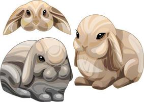un conjunto de animales dibujados por dibujos animados. raza de conejo de americano fuzzy lop. vector