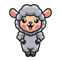 Cute baby sheep cartoon standing vector