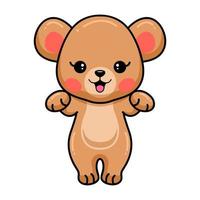 Cute baby brown bear cartoon posing vector