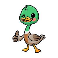 dibujos animados lindo patito dando pulgar arriba vector