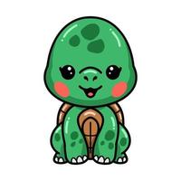 Cute baby turtle cartoon sitting vector