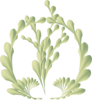 Blumenblatt botanische Antiquität für dekorative png