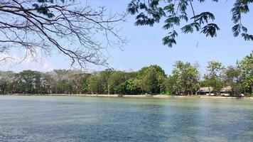 una vista di uno stagno con acqua con piccole onde, alberi e tempo molto soleggiato sul lago jonge video