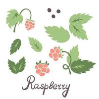 Raspberry elements set vector