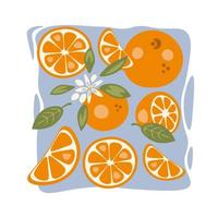 Orange fruit set elements, square vector illustration