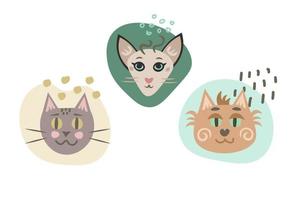 cabezas de gatos con conjunto de ilustraciones de garabatos vector