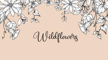 fondo de borde transparente con diseño minimalista de flores silvestres de moda para la decoración de paredes o bodas. hierba dibujada a mano, hojas elegantes y flores por invitación, guarde la tarjeta de fecha. botánico rústico vector