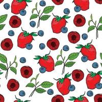 vector seamless pattern without background summer berries