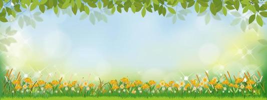 Vector Spring nature background with sunflowers and green grass field, Summer background with branches leave on boarder and blurry bokeh light effect. Template banner for Easter, Spring,Summer concept