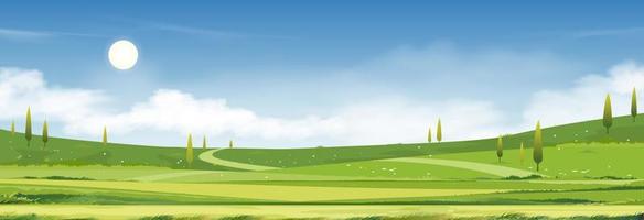 tiempo de primavera, paisaje soleado de verano en el pueblo con campo verde, fondo de nubes y cielo azul. campo rural con montaña, tierra de pasto y luz del sol en la mañana, banner de naturaleza de dibujos animados vectoriales vector