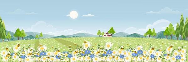 campo de primavera con nubes esponjosas en el cielo azul, lindo panorama de dibujos animados paisaje rural hierba verde con abeja melífera recolectando polen en flores en el verano soleado, banner de fondo vectorial para la primavera vector