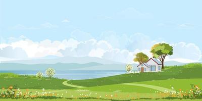 pueblo de primavera con casa de campo en campo verde junto al lago, nubes esponjosas y fondo de cielo azul, paisaje natural rural en primavera con tierra de pasto, flor, pancarta vectorial caricatura primavera y verano vector
