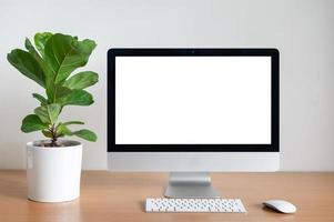 Blank screen of Desktop computer with Fiddle fig tree pot on wooden table photo